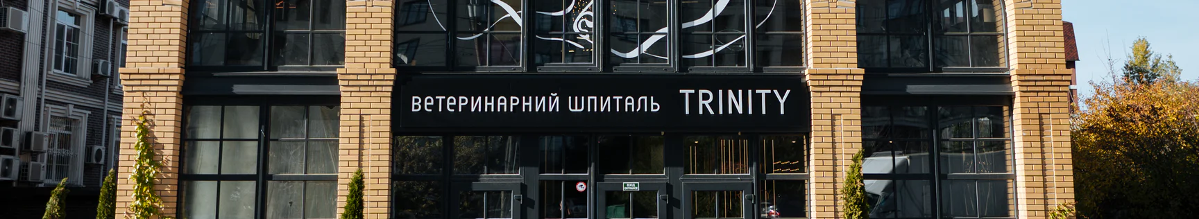 зображення банера